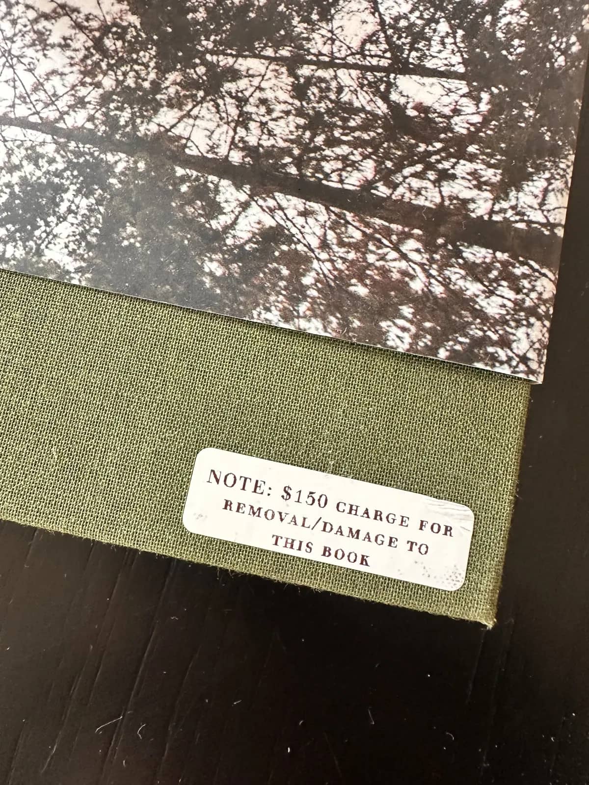 Guest photo of Three Rivers Airbnb - Sequoia National Park: Three Rivers Nightmare