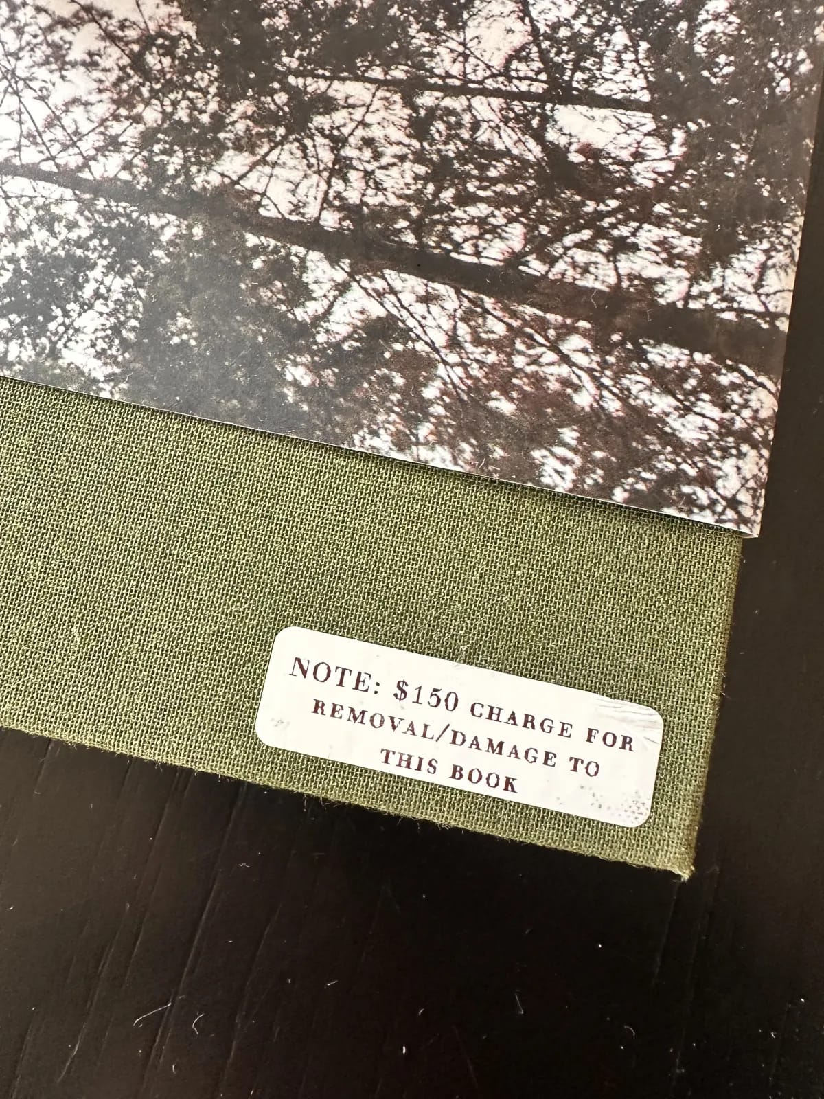 Guest photo of Three Rivers Airbnb - Sequoia National Park